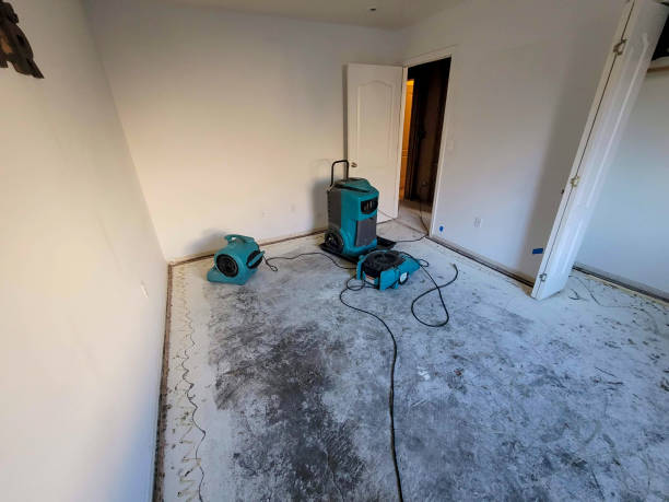 Best Professional water damage repair  in Parker, SC